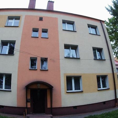 Studio Skarzyko Kamienna Apartment Skarżysko-Kamienna Екстериор снимка