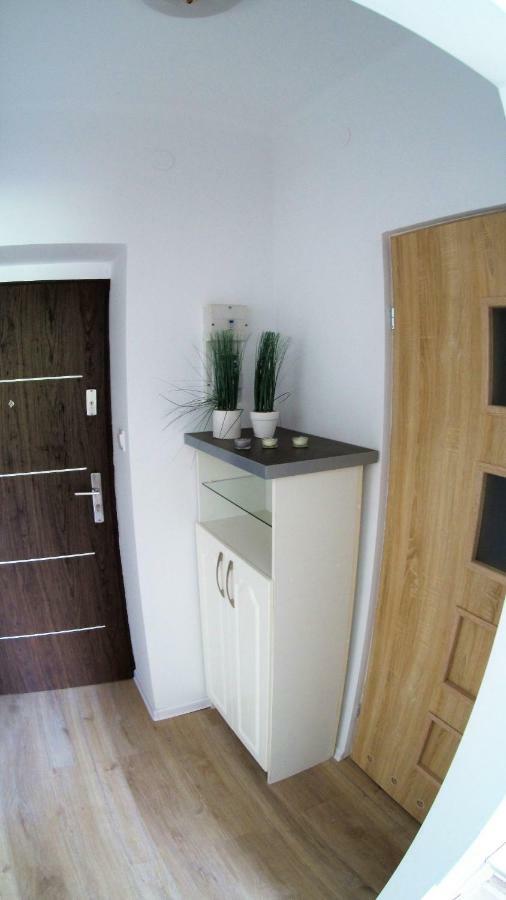 Studio Skarzyko Kamienna Apartment Skarżysko-Kamienna Екстериор снимка